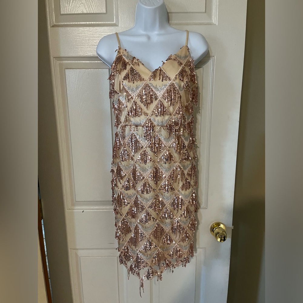 Great Gatsby Style Sequin Fringe dress
